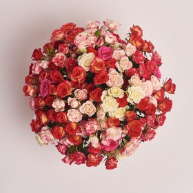 Коробка 25 Спрей троянд Мікс