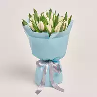 Bouquet of 25 White tulips
