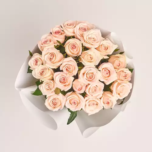 Product image Bouquet of 25 Light Pink Roses, packaging: White, vendor code: 2926