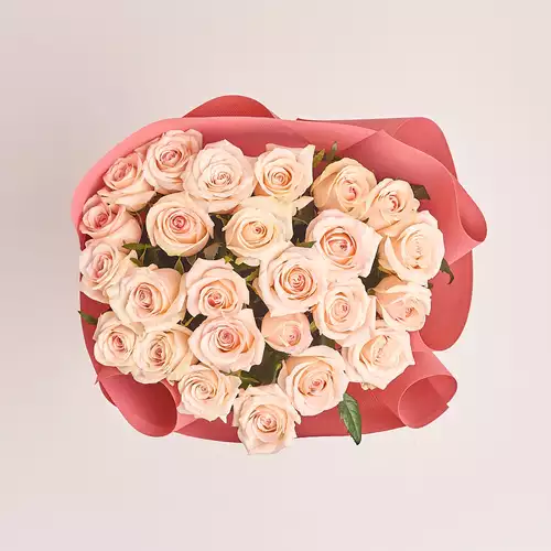 Product image Bouquet of 25 Light Pink Roses, packaging: Kafin rust, vendor code: 2926