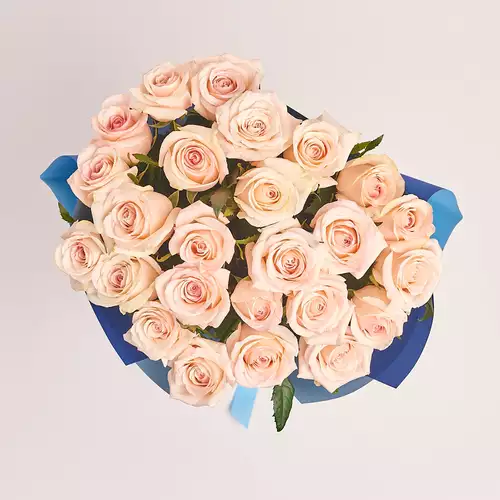 Product image Bouquet of 25 Light Pink Roses, packaging: Gradiens blue, vendor code: 2926