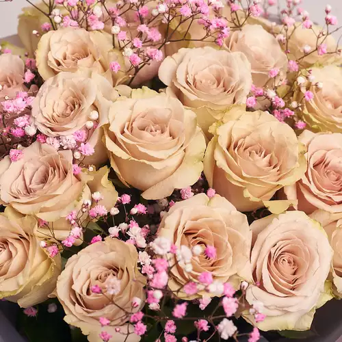 Product image Bouquet of 25 Quicksand and Gypsophila, vendor code: 2928