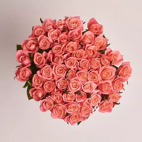 Product image Bouquet of 51 Coral Roses, packaging: Without packaging, vendor code: 2929