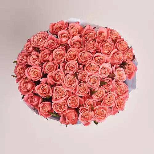Product image Bouquet of 51 Coral Roses, packaging: Blue, vendor code: 2929