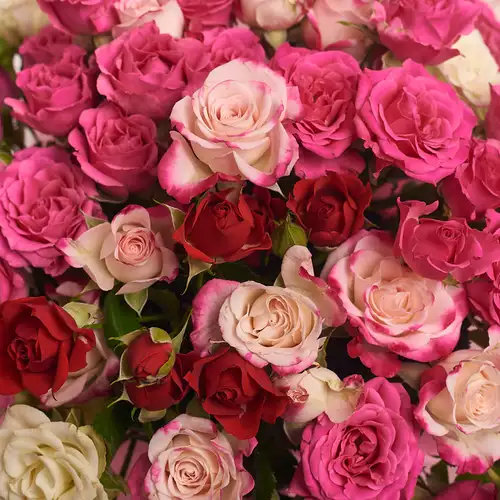 Product image Box of 15 Rose Spray Mix, packaging: Pink, vendor code: 2946