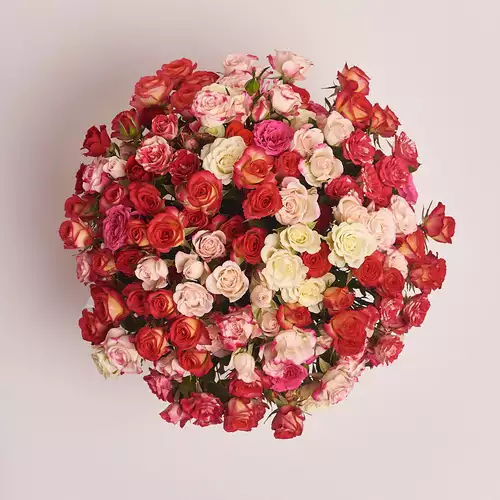 Product image Box of 25 Rose Spray Mix, packaging: Blue, vendor code: 2947