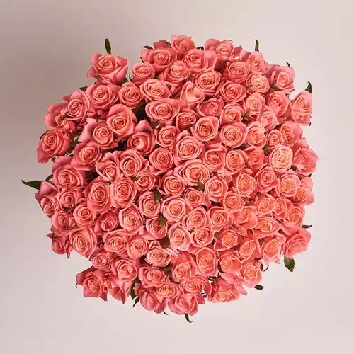 Product image Bouquet of 101 Coral Roses, vendor code: 2949