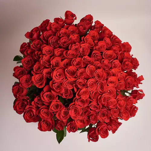 Product image Bouquet of 101 Freedom Red Roses, vendor code: 2950