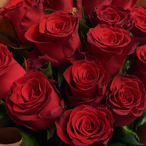 Product image Bouquet 15 Red Rose Rhodos, packaging: Powder, vendor code: 2954
