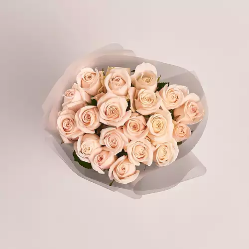 Product image Bouquet of 19 Light Pink Roses, packaging: Transparent, vendor code: 2955