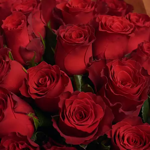 Product image Bouquet 25 Red Rose Rhodos, packaging: Gray, vendor code: 2957