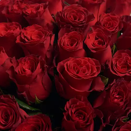 Product image Bouquet 51 Red Rose Rhodos, packaging: Red, vendor code: 2958