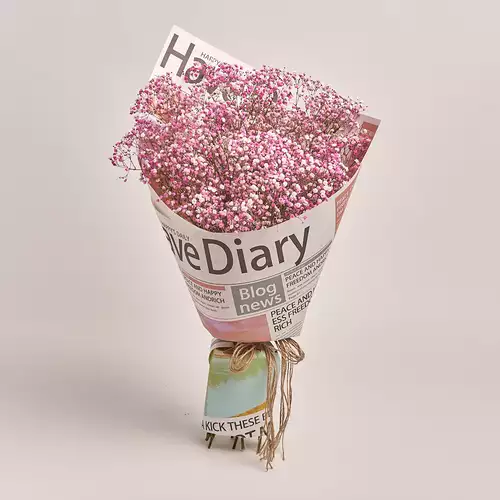 Product image Bouquet 15 Pink Gypsophila, packaging: Newspaper, vendor code: 2960