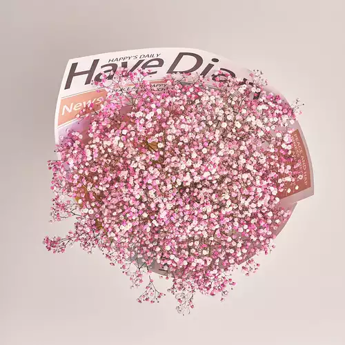 Product image Bouquet 15 Pink Gypsophila, packaging: Newspaper, vendor code: 2960