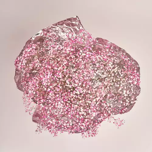 Product image Bouquet 15 Pink Gypsophila, packaging: Foil, vendor code: 2960