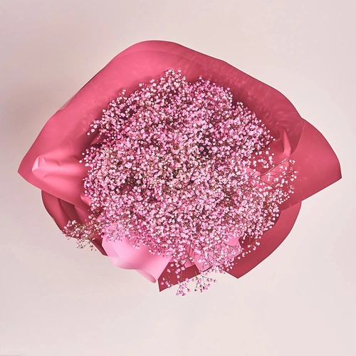 Product image Bouquet 15 Pink Gypsophila, packaging: Coral, vendor code: 2960
