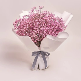 Bouquet 15 Pink Gypsophila