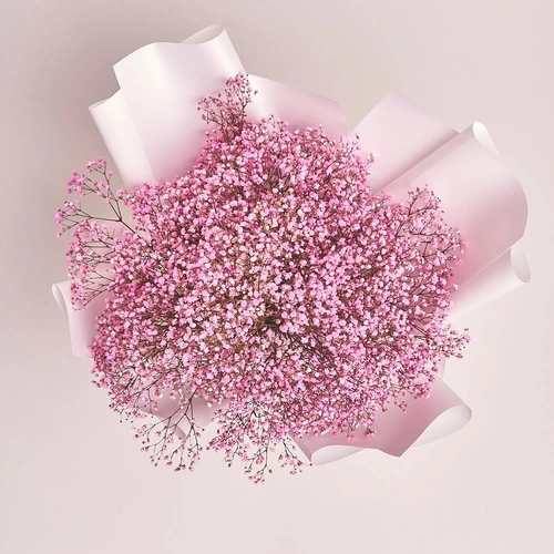 Product image Bouquet 15 Pink Gypsophila, packaging: White, vendor code: 2960