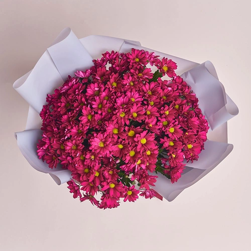 Product image Bouquet of 15 Hot pink Chrysanthemums, packaging: Gray, vendor code: 2968