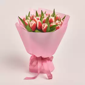 Bouquet of 25 Red-white Tulips