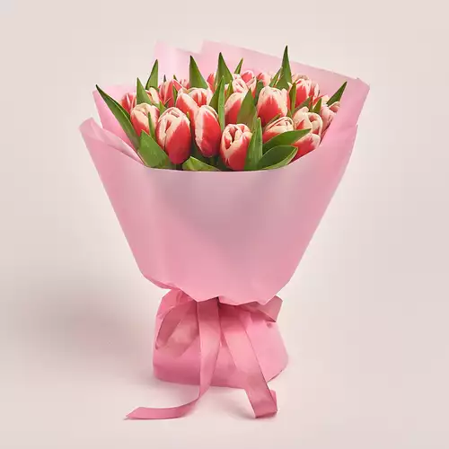 Product image Bouquet of 25 Red-white Tulips, packaging: Pink, vendor code: 2975