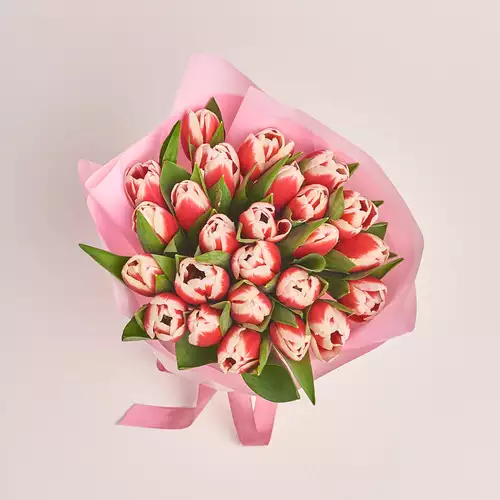 Product image Bouquet of 25 Red-white Tulips, packaging: Pink, vendor code: 2975