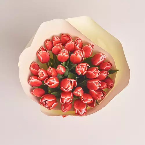 Product image Bouquet of 35 Red-white Tulips, packaging: White, vendor code: 2976