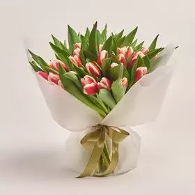 Букет 51 червоно-білий тюльпанів