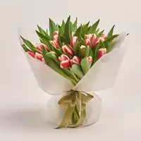 Bouquet of 51 Red-white Tulips