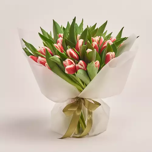 Product image Bouquet of 51 Red-white Tulips, packaging: Transparent, vendor code: 2978