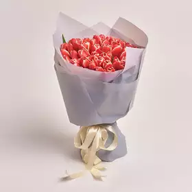 Bouquet of 51 Red-white Tulips