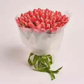 Букет 101 Червоно-білий тюльпан