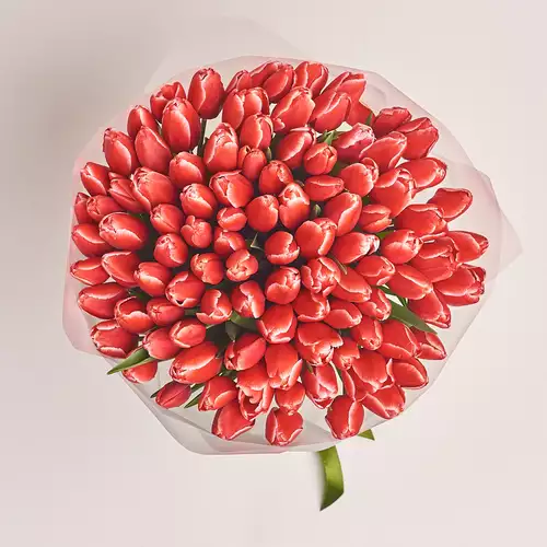 Product image Bouquet of 101 Red-white Tulips, packaging: Transparent, vendor code: 2980