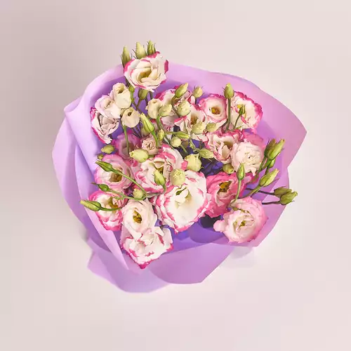 Зображення товару Букет 5 Біло-рожевих еустом, пакування: Фіолетова, артикул: 2988