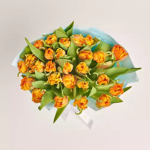 Product image Bouquet of 25 Orange Tulips, packaging: Blue, vendor code: 2989