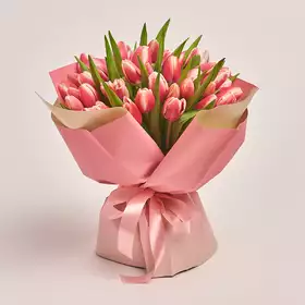 Букет 51 Рожево-білий тюльпан