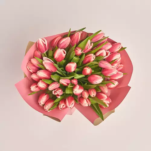 Product image Bouquet of 51 Rose-white Tulips, packaging: Gradiens pink, vendor code: 2990