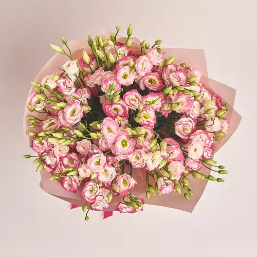 Зображення товару Букет 31 Біло-рожева еустома, пакування: Пудрова, артикул: 2991