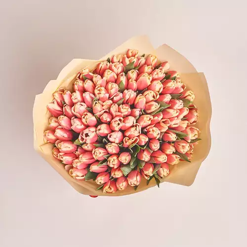 Product image Bouquet of 101 Rose-white Tulips, packaging: Peach, vendor code: 2992