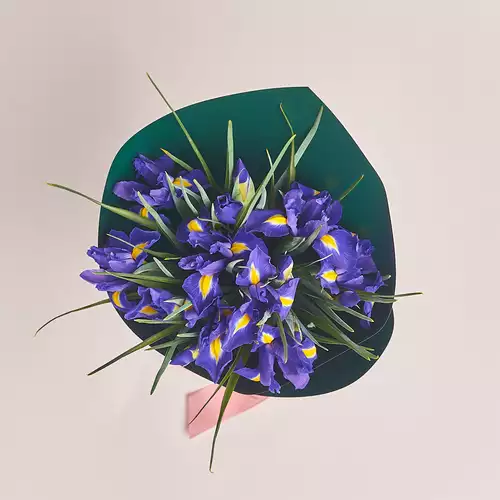 Product image Bouquet of 15 Blue iris, packaging: Green, vendor code: 2993