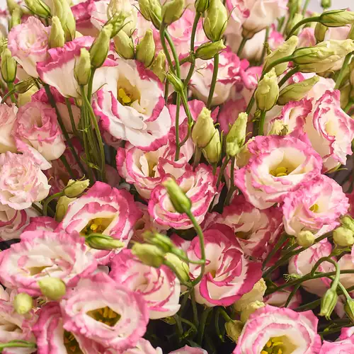 Product image Bouquet 51 White-rose eustoma, packaging: Gray, vendor code: 2994