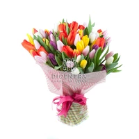 Bouquet of 75 Tulips mix 
