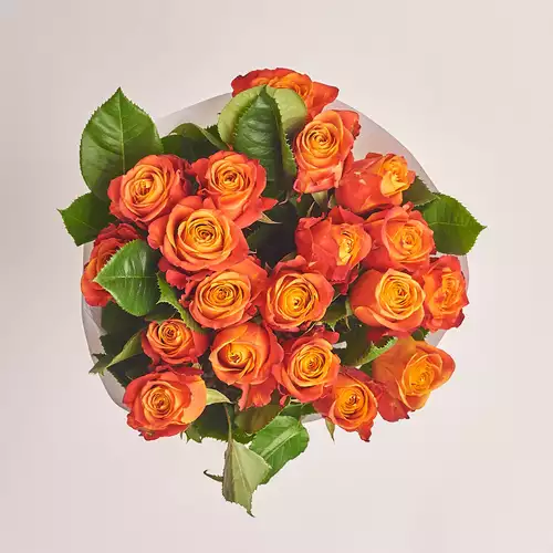 Product image Bouquet of 19 Orange Roses, packaging: Gray, vendor code: 2998