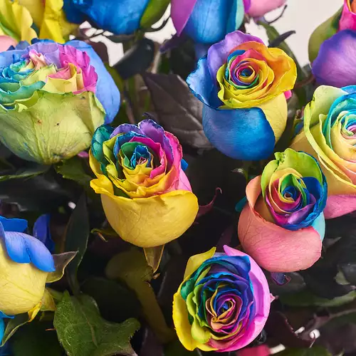 Product image Bouquet of 25 Roses Rainbow, packaging: Without packaging, vendor code: 3000