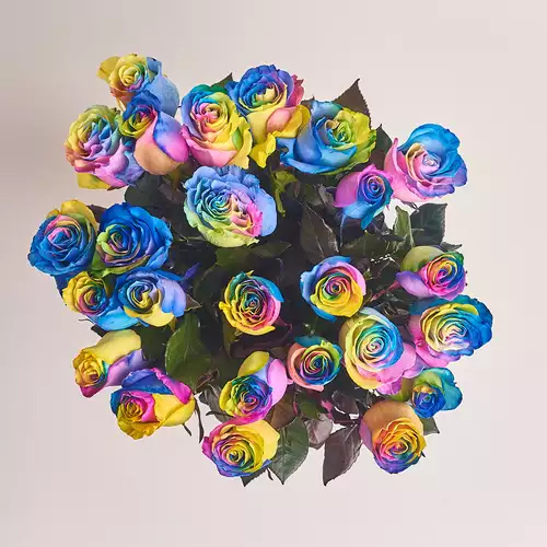 Product image Bouquet of 25 Roses Rainbow, packaging: Without packaging, vendor code: 3000