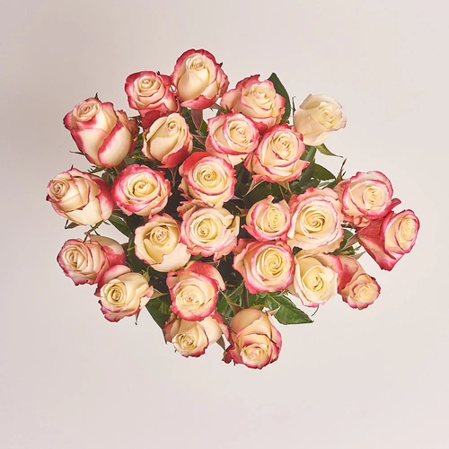 Product image Bouquet of 25 White-rose roses, packaging: Without packaging, vendor code: 3003