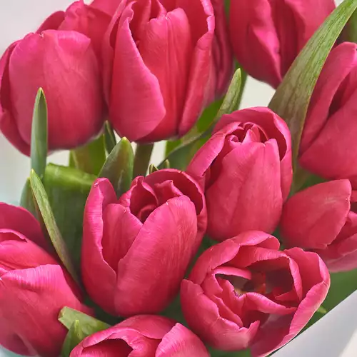 Product image Bouquet of 11 Purple Tulips, packaging: Сraft, vendor code: 3005