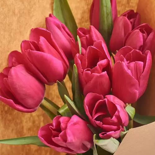 Product image Bouquet of 11 Purple Tulips, packaging: Сraft, vendor code: 3005