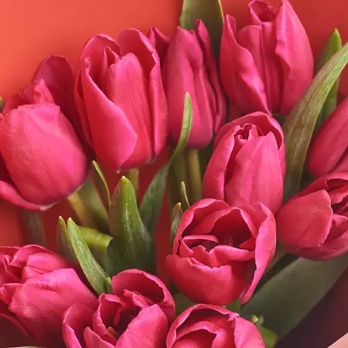 Product image Bouquet of 11 Purple Tulips, packaging: Сraft, vendor code: 3005