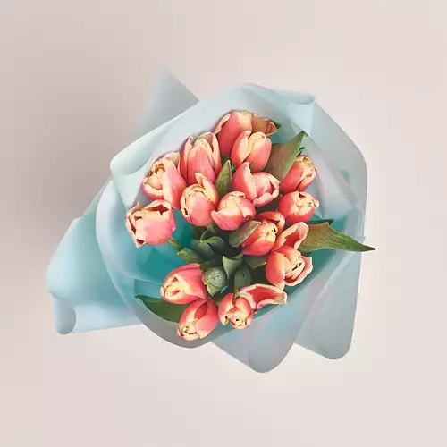 Product image Bouquet of 15 Rose-white Tulips, packaging: Blue, vendor code: 3008